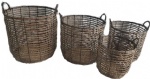 Willow products