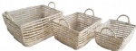 Willow products